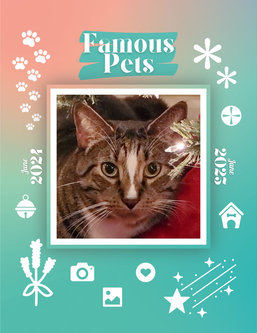 Famous Pets: June 2024-June 2025 Wall Calendar (Pre-Order)