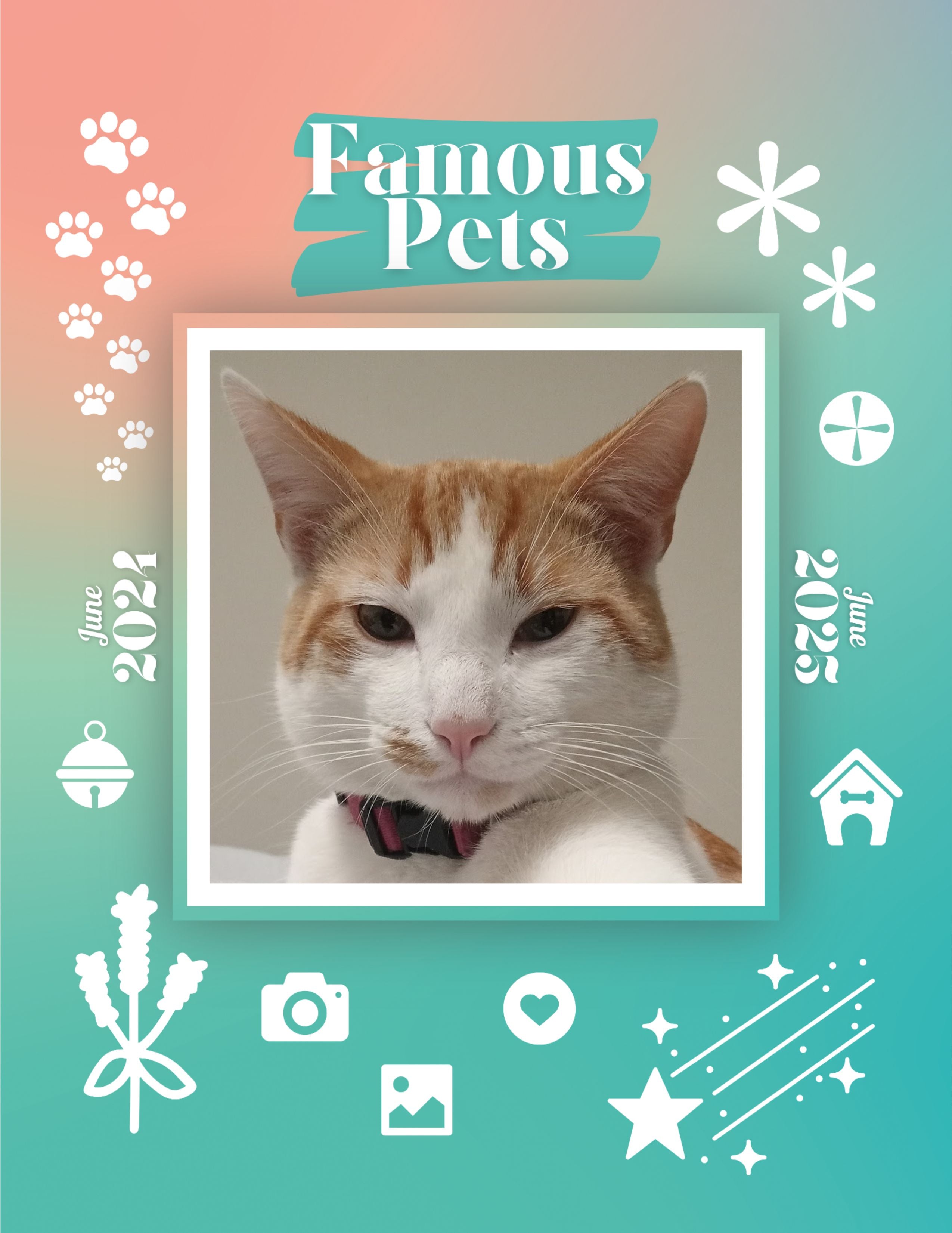 Famous Pets: June 2024-June 2025 Wall Calendar (Pre-Order)