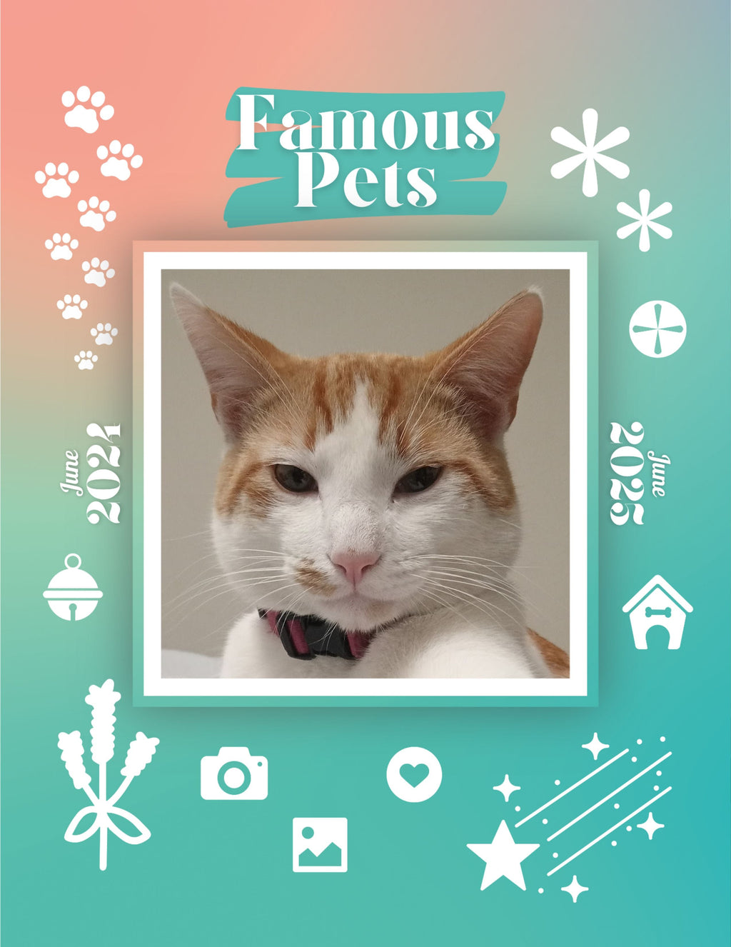 Famous Pets: June 2024-June 2025 Wall Calendar (Pre-Order)
