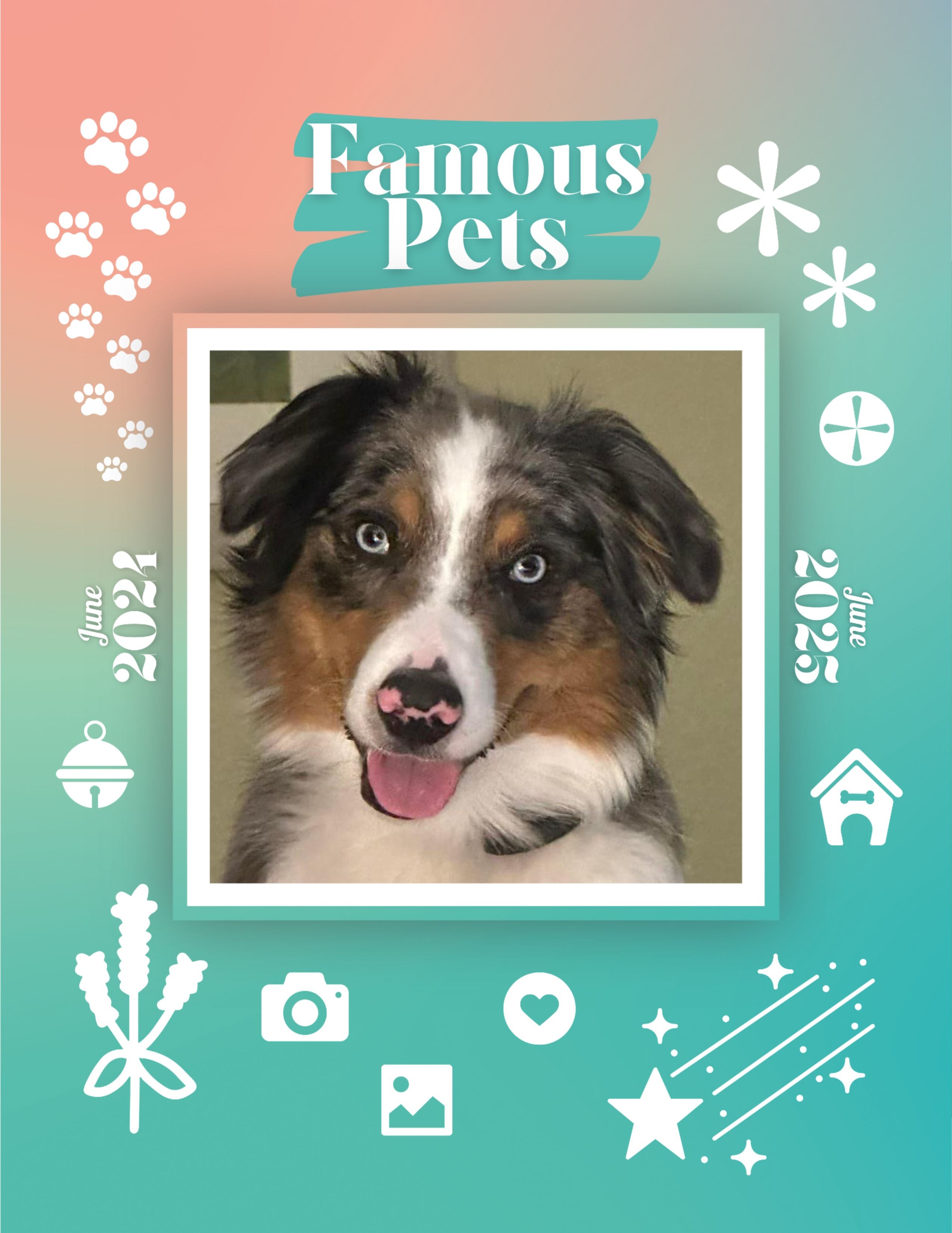 Famous Pets: June 2024-June 2025 Wall Calendar (Pre-Order)