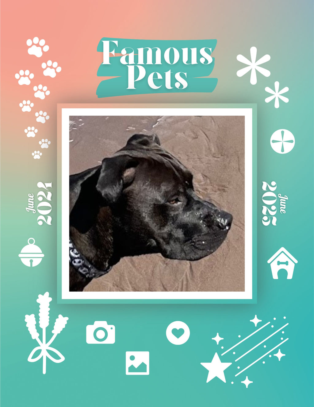 Famous Pets: June 2024-June 2025 Wall Calendar (Pre-Order)