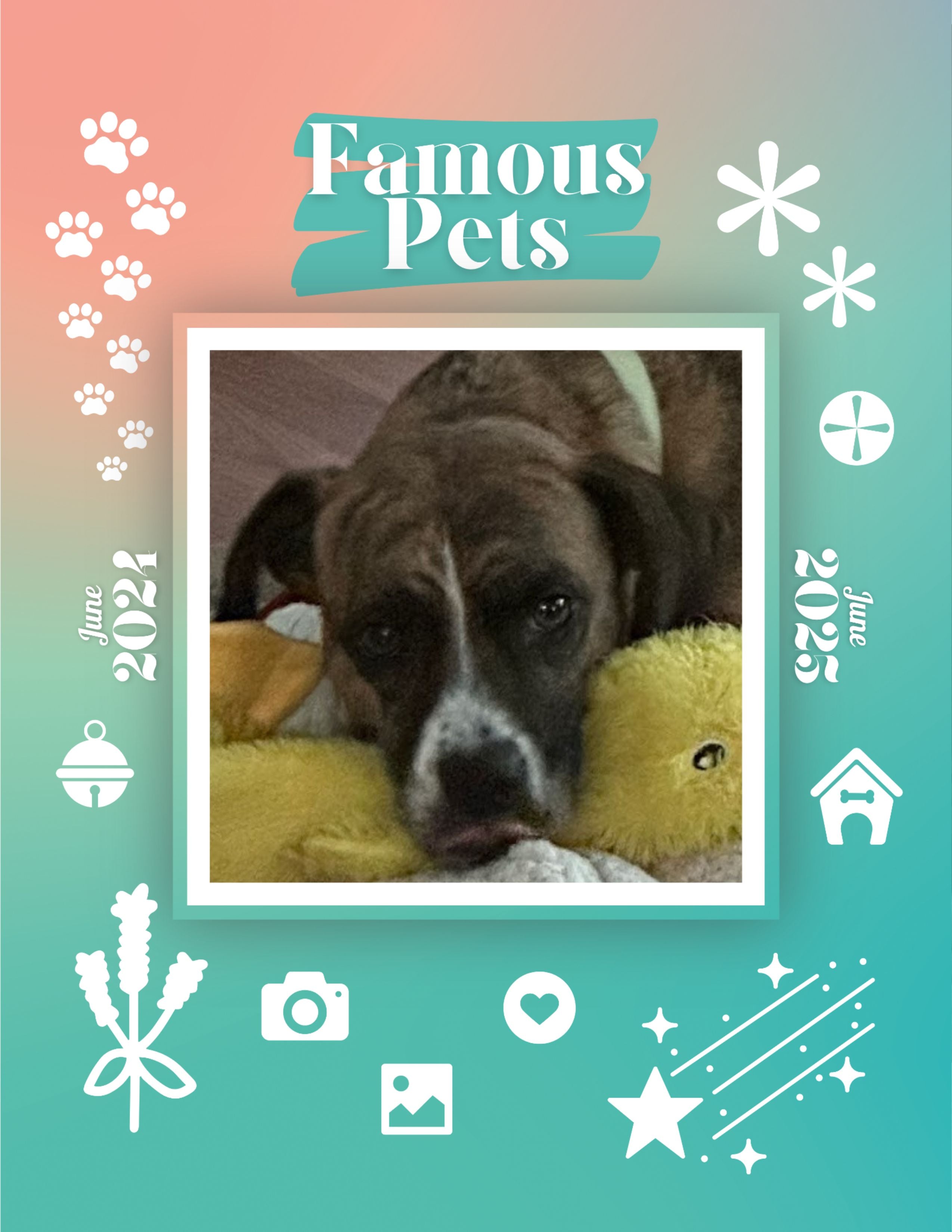 Famous Pets: June 2024-June 2025 Wall Calendar (Pre-Order)