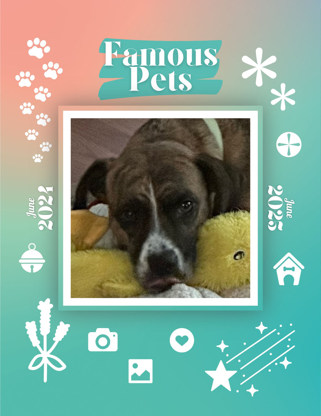 Famous Pets: June 2024-June 2025 Wall Calendar (Pre-Order)