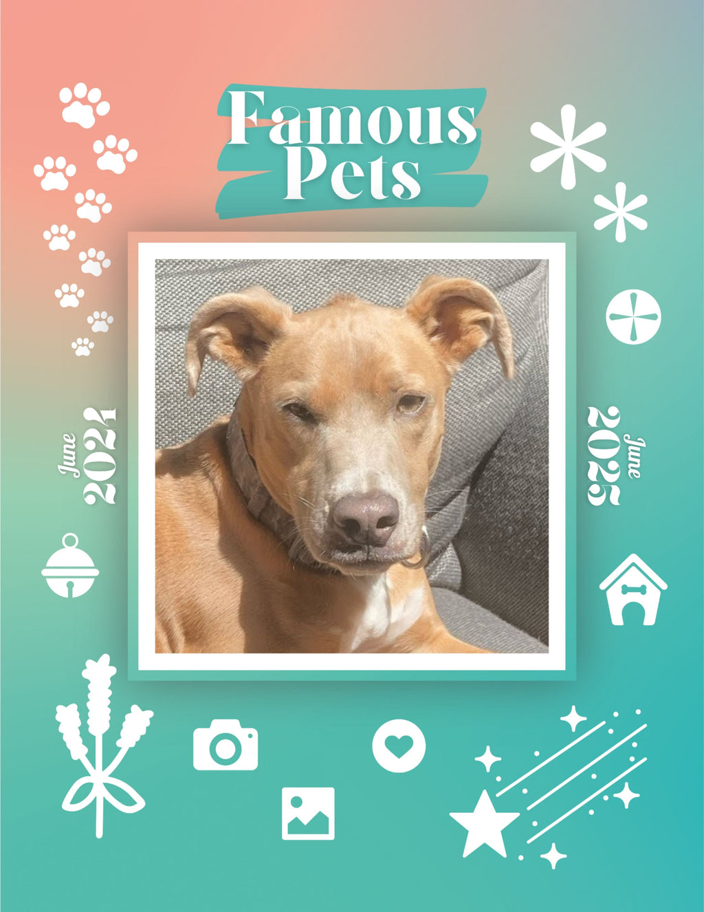 Famous Pets: June 2024-June 2025 Wall Calendar (Pre-Order)