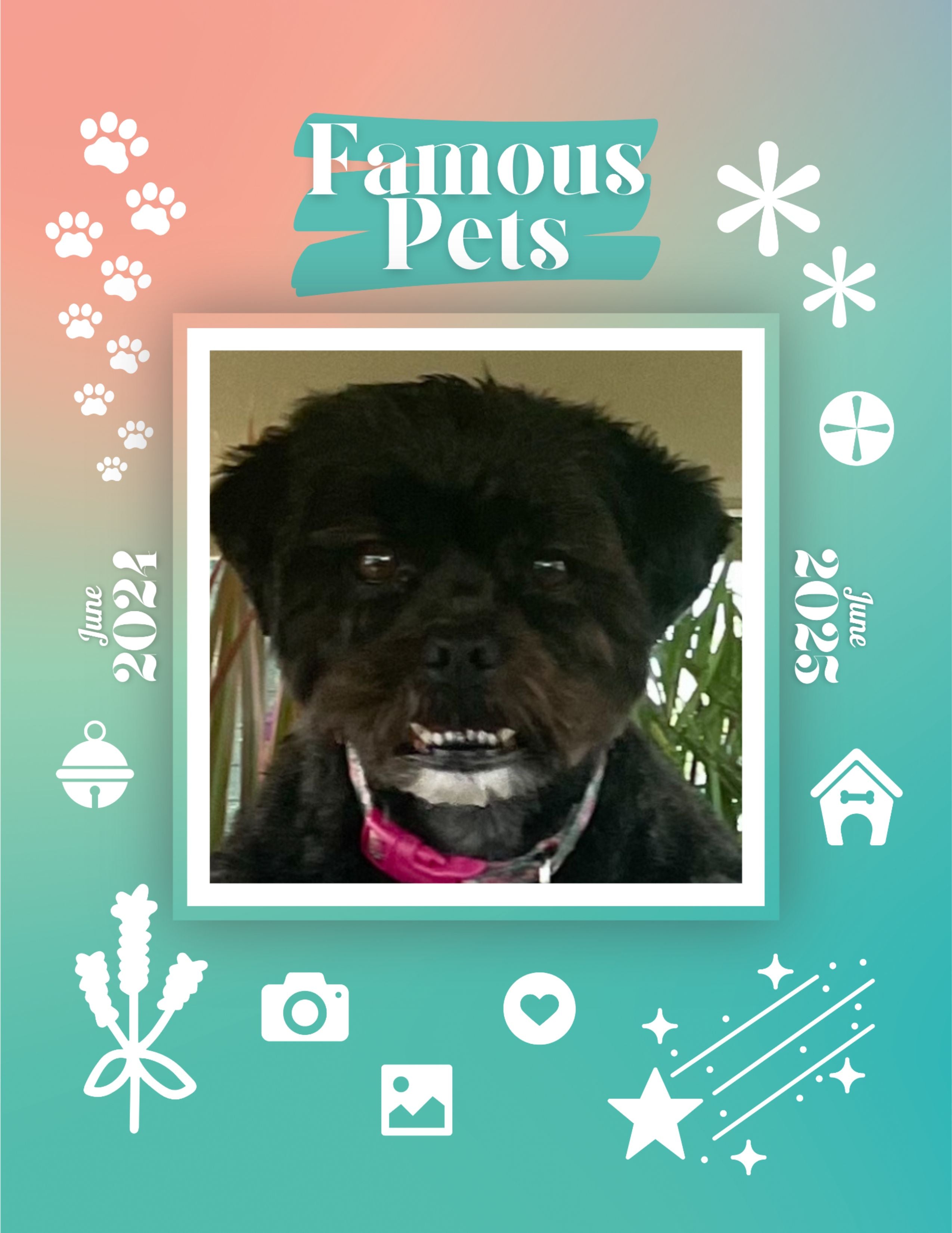 Famous Pets: June 2024-June 2025 Wall Calendar (Pre-Order)