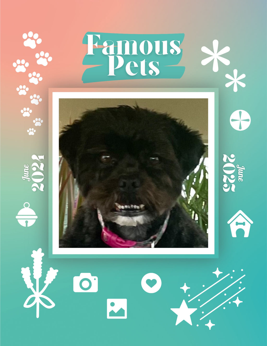 Famous Pets: June 2024-June 2025 Wall Calendar (Pre-Order)