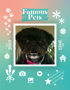 Famous Pets: June 2024-June 2025 Wall Calendar (Pre-Order)