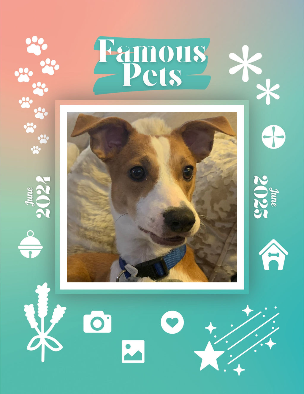 Famous Pets: June 2024-June 2025 Wall Calendar (Pre-Order)