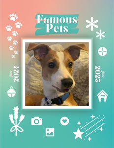 Famous Pets: June 2024-June 2025 Wall Calendar (Pre-Order)