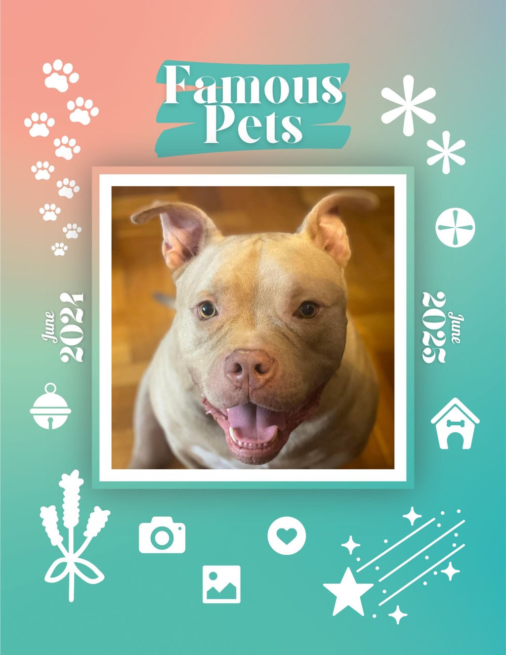 Famous Pets: June 2024-June 2025 Wall Calendar (Pre-Order)