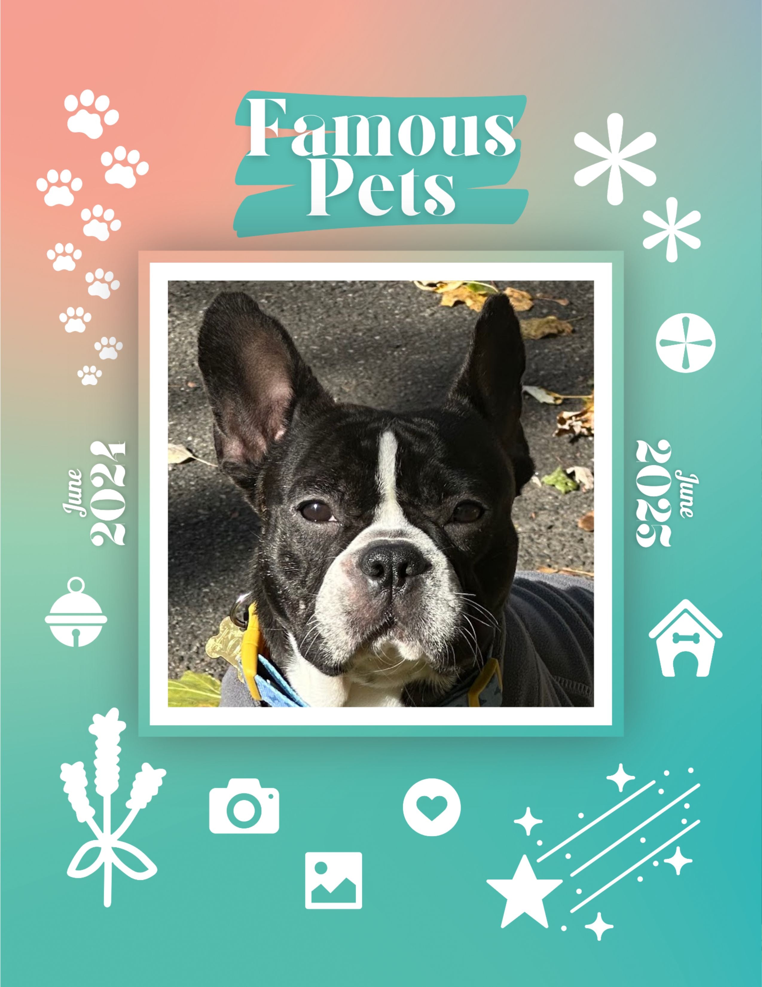 Famous Pets: June 2024-June 2025 Wall Calendar (Pre-Order)