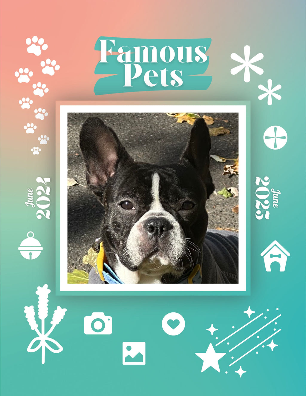 Famous Pets: June 2024-June 2025 Wall Calendar (Pre-Order)