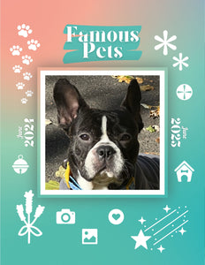 Famous Pets: June 2024-June 2025 Wall Calendar (Pre-Order)