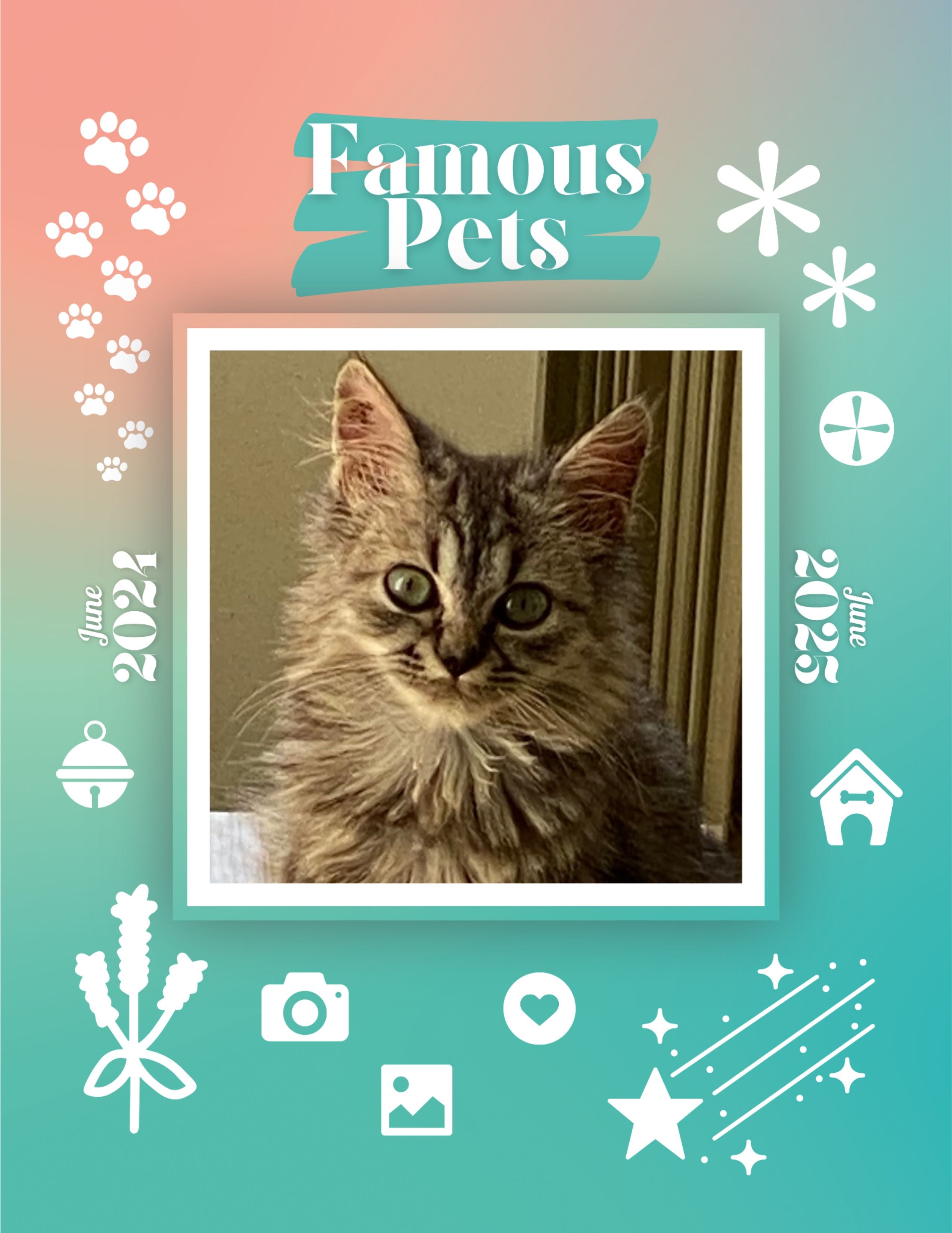 Famous Pets: June 2024-June 2025 Wall Calendar (Pre-Order)