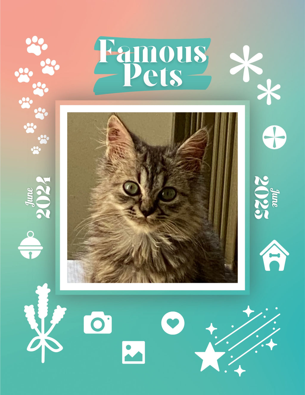 Famous Pets: June 2024-June 2025 Wall Calendar (Pre-Order)
