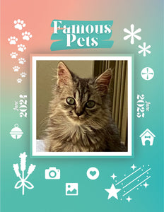 Famous Pets: June 2024-June 2025 Wall Calendar (Pre-Order)