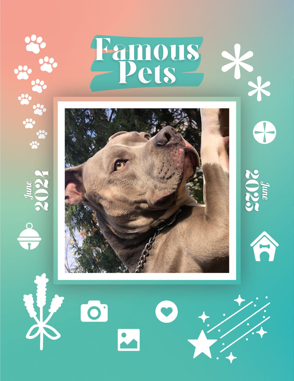 Famous Pets: June 2024-June 2025 Wall Calendar (Pre-Order)