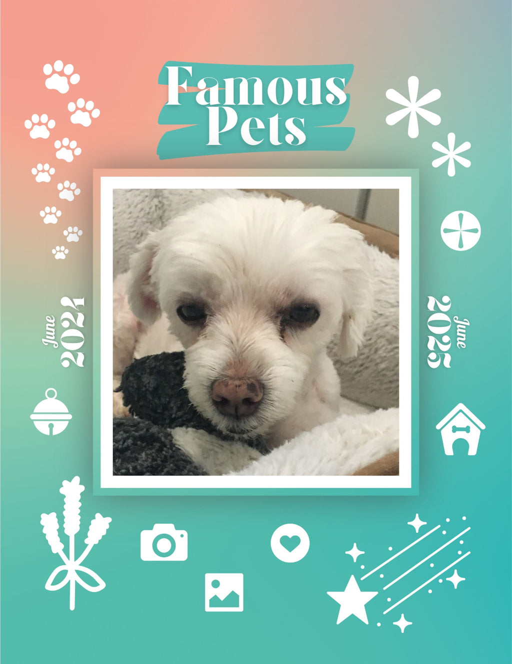 Famous Pets: June 2024-June 2025 Wall Calendar (Pre-Order)