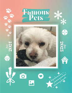 Famous Pets: June 2024-June 2025 Wall Calendar (Pre-Order)