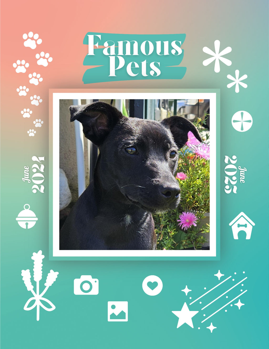 Famous Pets: June 2024-June 2025 Wall Calendar (Pre-Order)