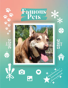 Famous Pets: June 2024-June 2025 Wall Calendar (Pre-Order)