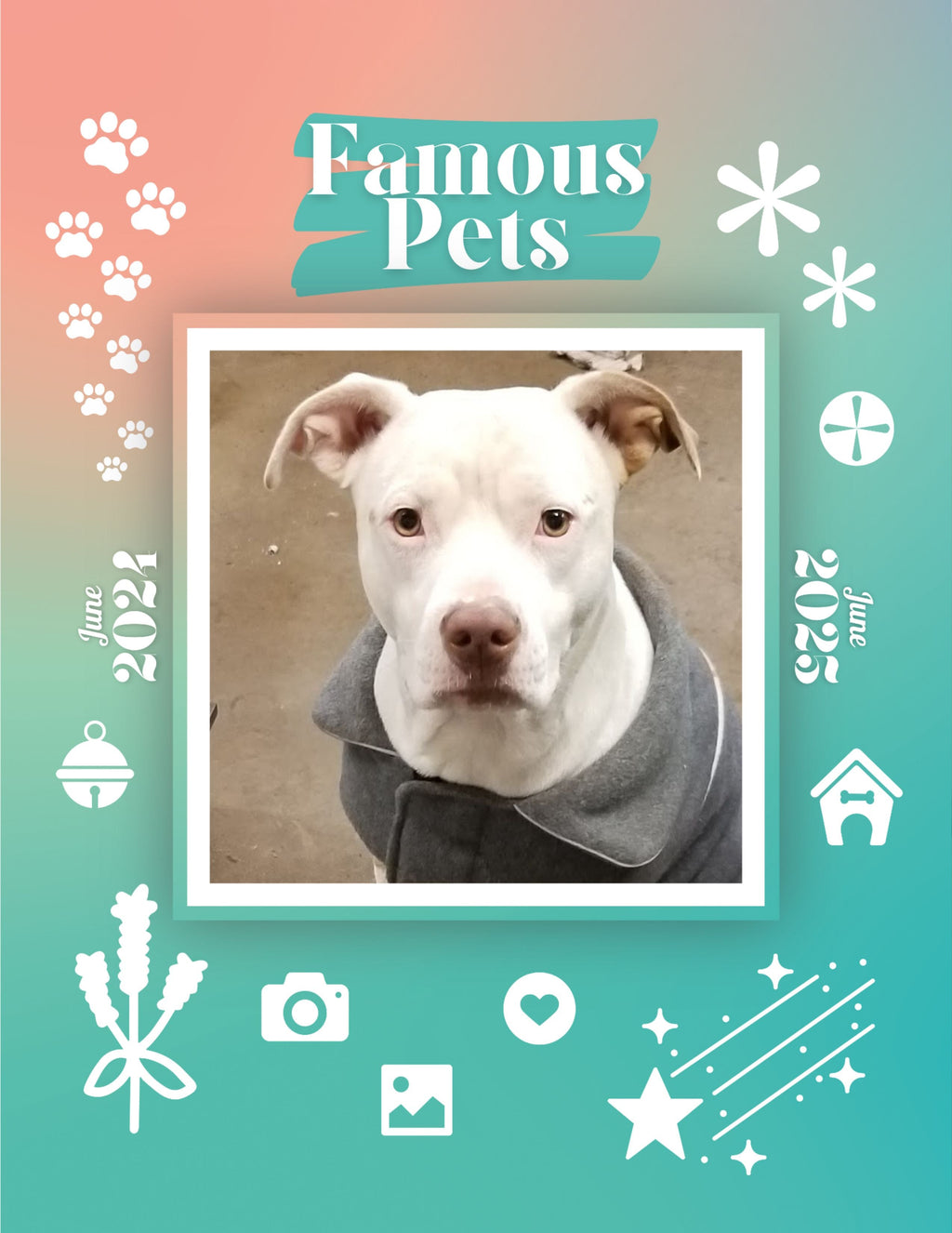 Famous Pets: June 2024-June 2025 Wall Calendar (Pre-Order)