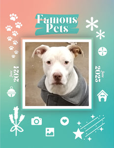Famous Pets: June 2024-June 2025 Wall Calendar (Pre-Order)