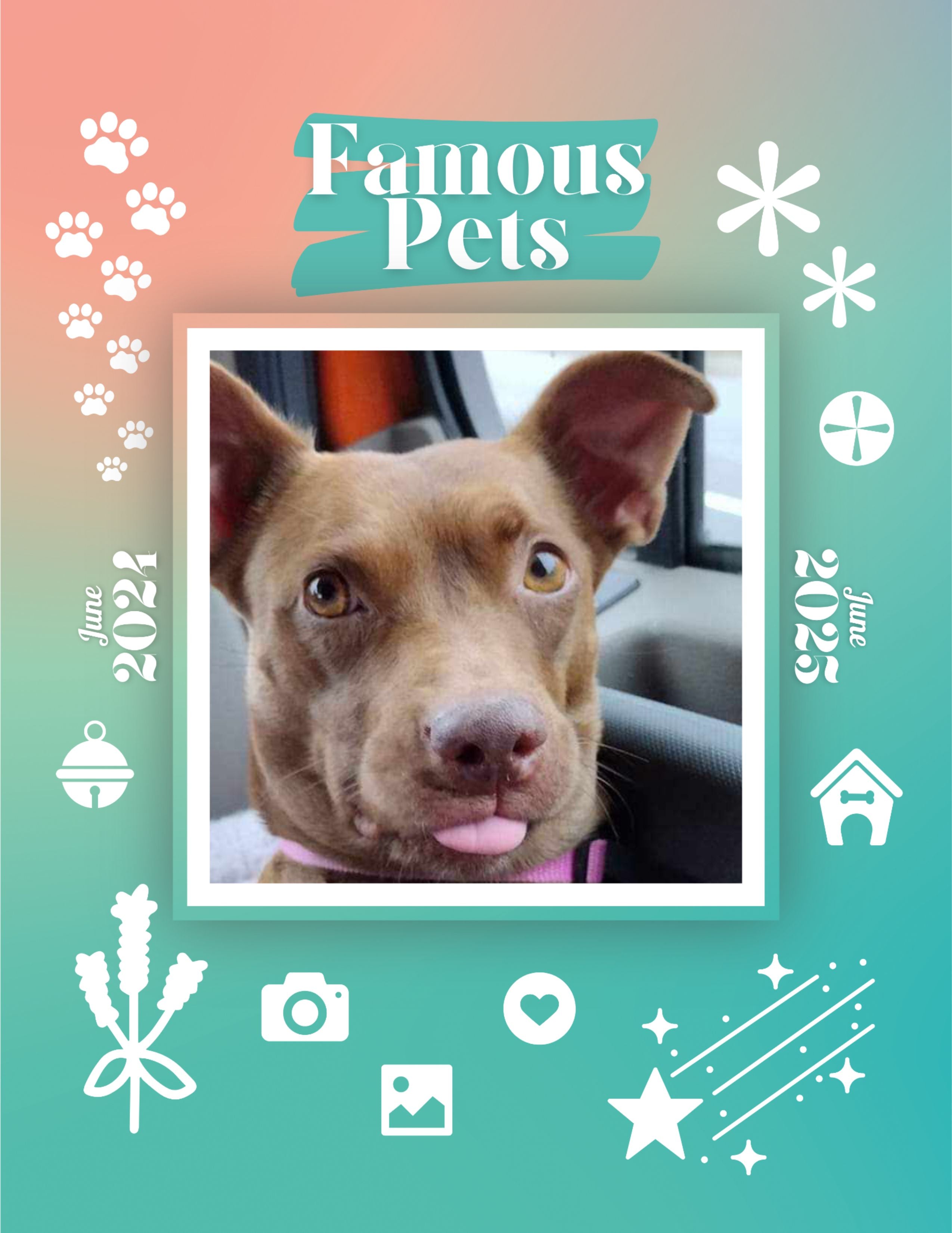 Famous Pets: June 2024-June 2025 Wall Calendar (Pre-Order)