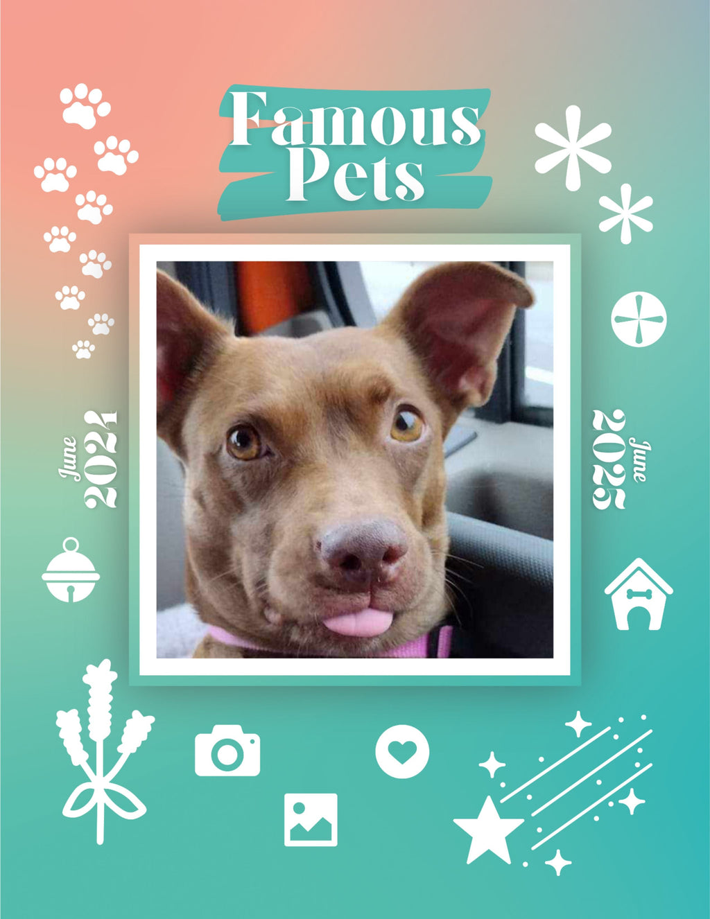 Famous Pets: June 2024-June 2025 Wall Calendar (Pre-Order)