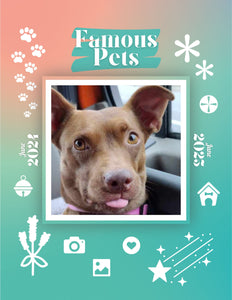 Famous Pets: June 2024-June 2025 Wall Calendar (Pre-Order)