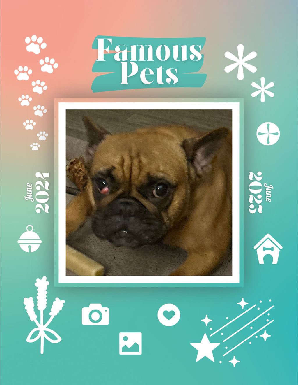 Famous Pets: June 2024-June 2025 Wall Calendar (Pre-Order)