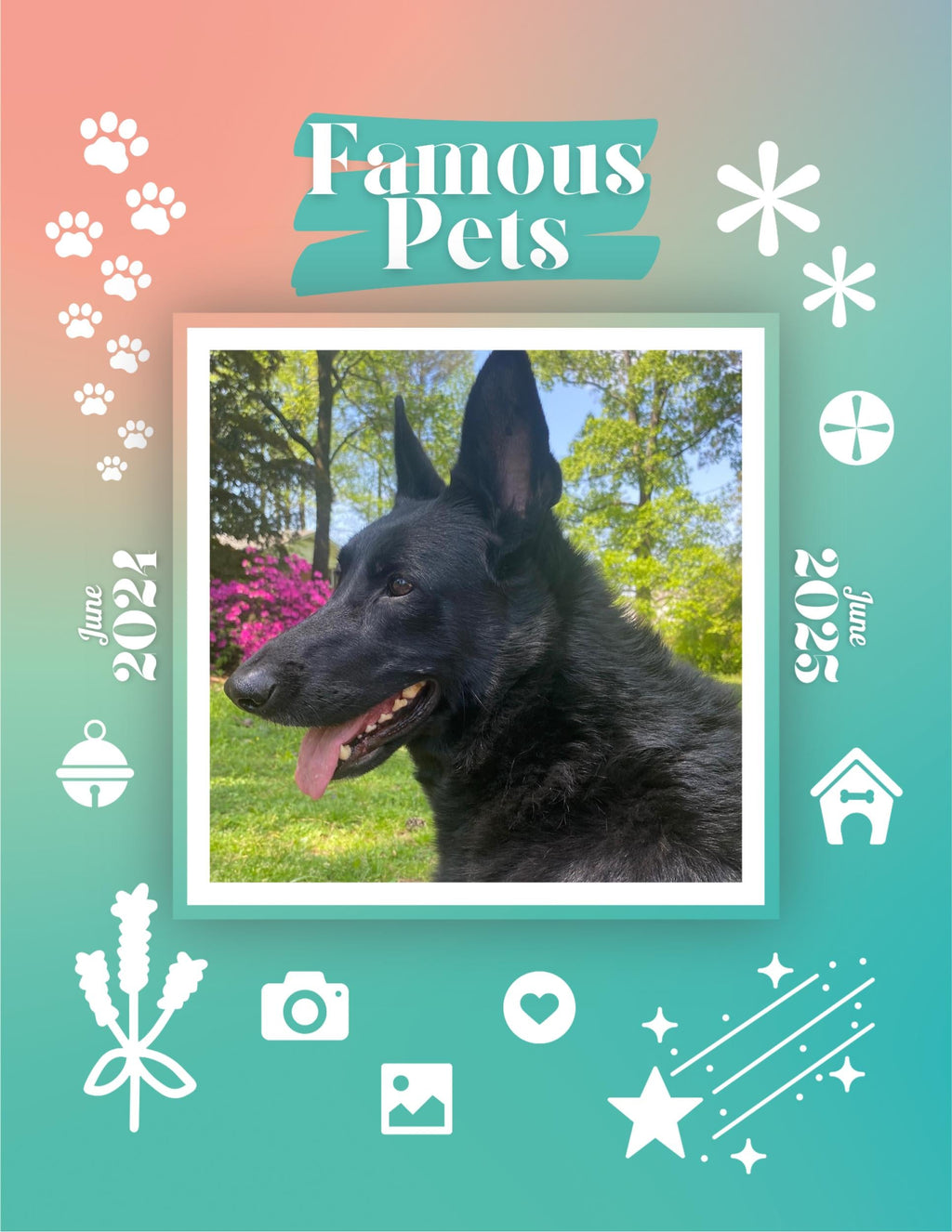 Famous Pets: June 2024-June 2025 Wall Calendar (Pre-Order)