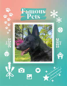 Famous Pets: June 2024-June 2025 Wall Calendar (Pre-Order)