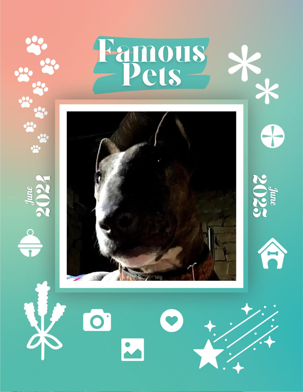 Famous Pets: June 2024-June 2025 Wall Calendar (Pre-Order)