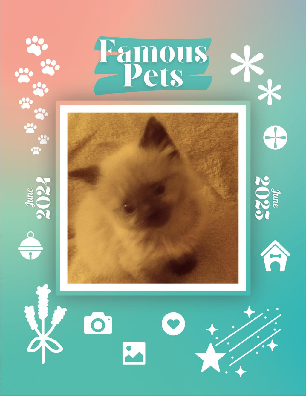 Famous Pets: June 2024-June 2025 Wall Calendar (Pre-Order)