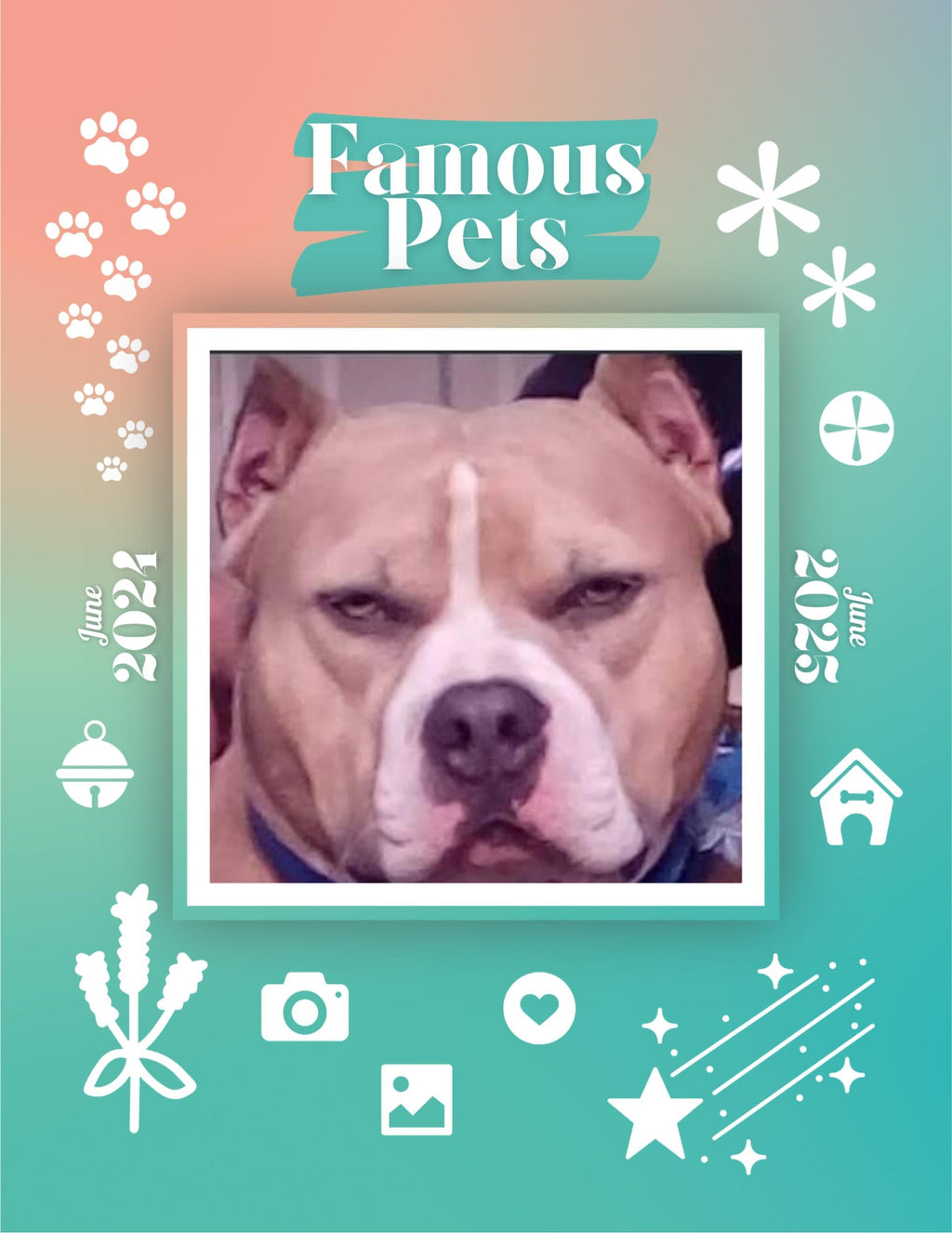 Famous Pets: June 2024-June 2025 Wall Calendar (Pre-Order)