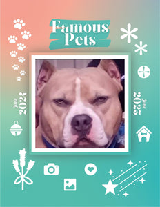 Famous Pets: June 2024-June 2025 Wall Calendar (Pre-Order)