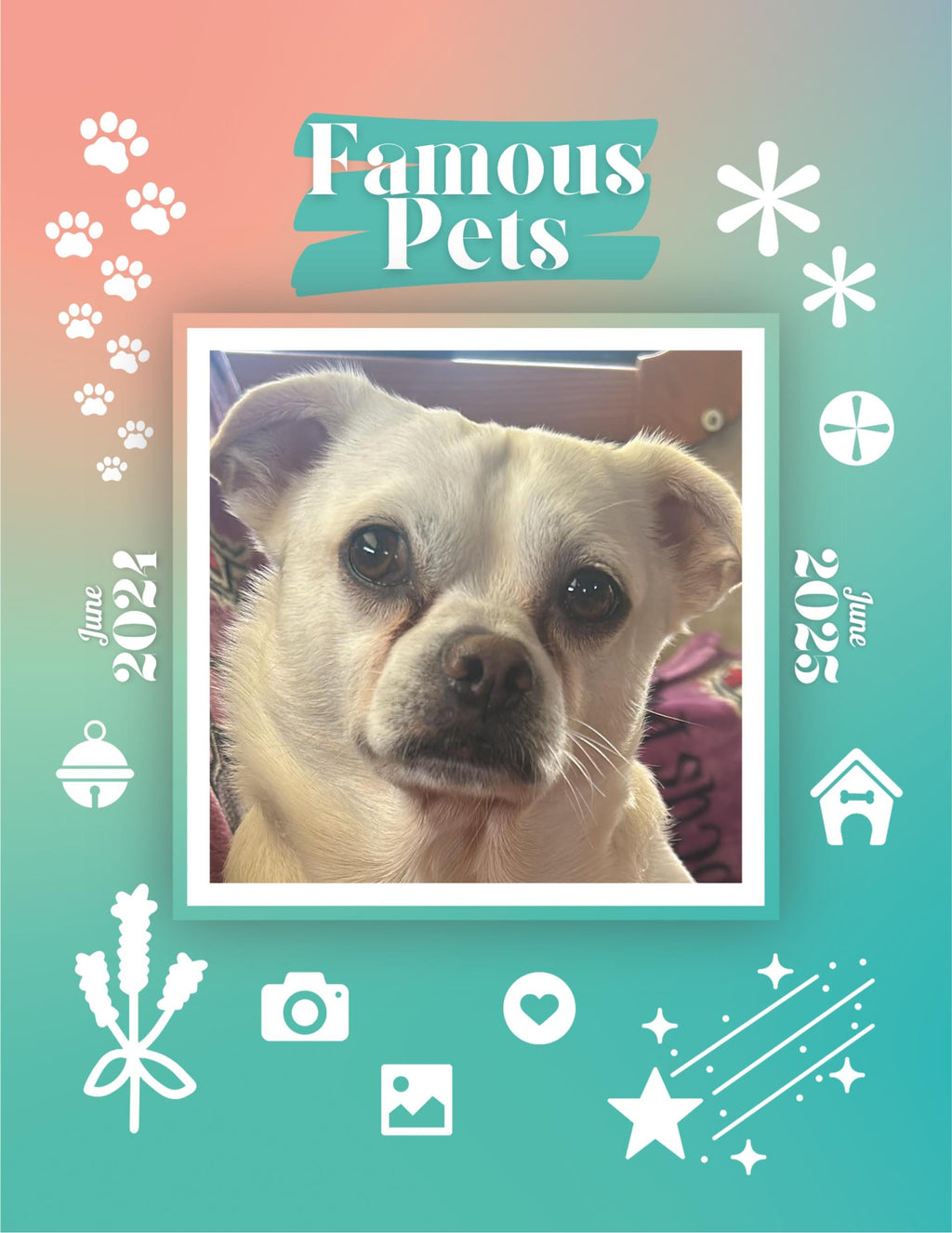 Famous Pets: June 2024-June 2025 Wall Calendar (Pre-Order)