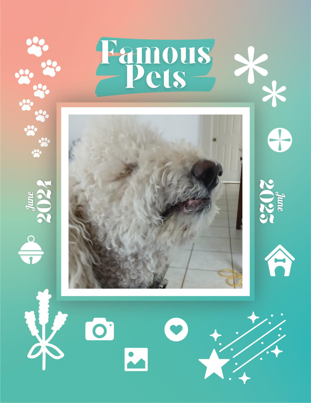 Famous Pets: June 2024-June 2025 Wall Calendar (Pre-Order)