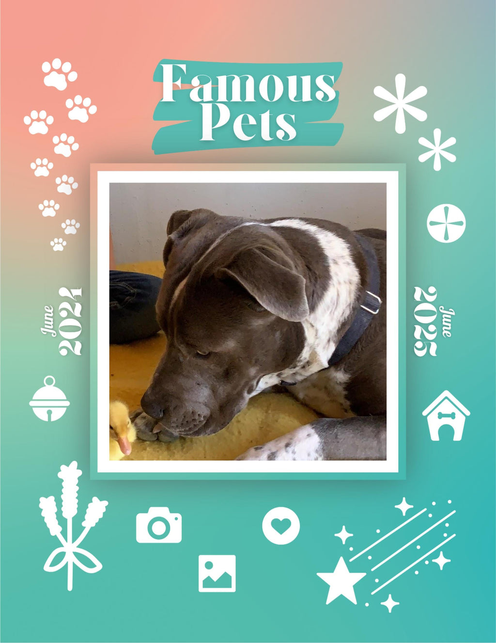 Famous Pets: June 2024-June 2025 Wall Calendar (Pre-Order)