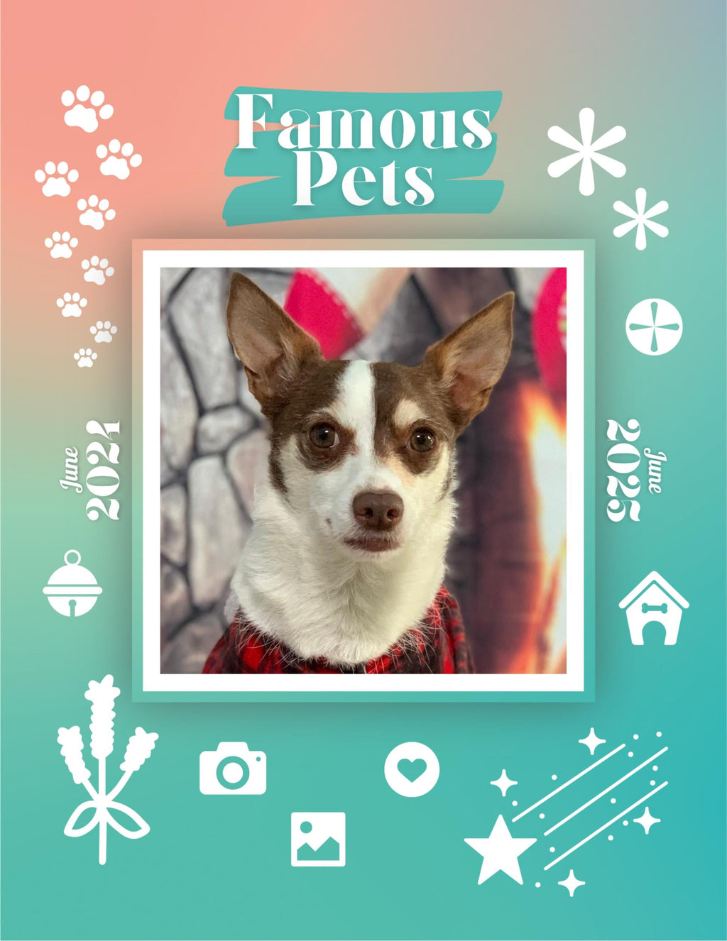 Famous Pets: June 2024-June 2025 Wall Calendar (Pre-Order)