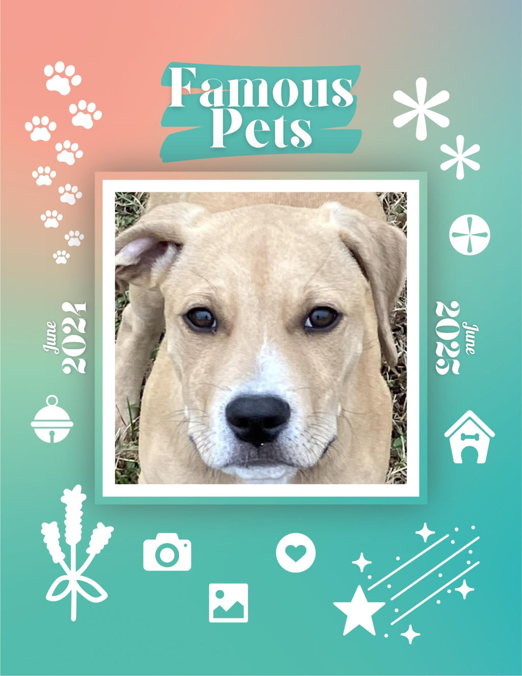 Famous Pets: June 2024-June 2025 Wall Calendar (Pre-Order)