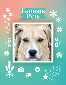 Famous Pets: June 2024-June 2025 Wall Calendar (Pre-Order)