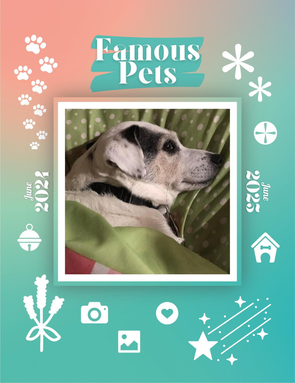 Famous Pets: June 2024-June 2025 Wall Calendar (Pre-Order)