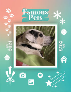 Famous Pets: June 2024-June 2025 Wall Calendar (Pre-Order)