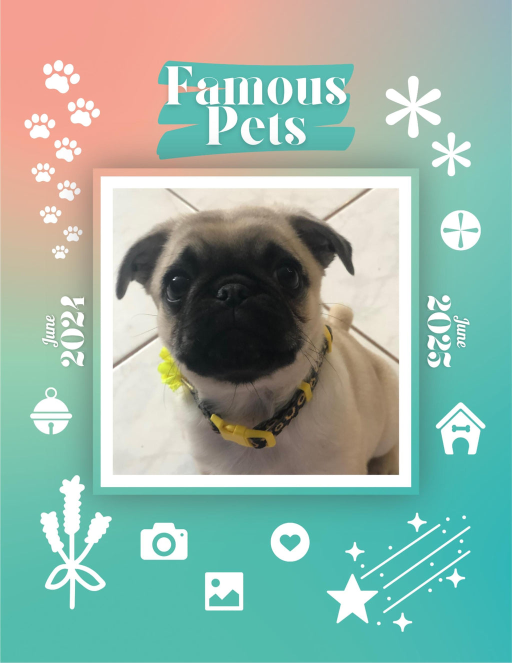 Famous Pets: June 2024-June 2025 Wall Calendar (Pre-Order)