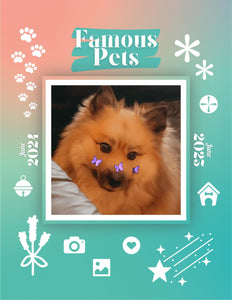 Famous Pets: June 2024-June 2025 Wall Calendar (Pre-Order)