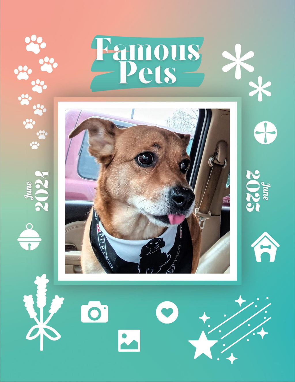 Famous Pets: June 2024-June 2025 Wall Calendar (Pre-Order)