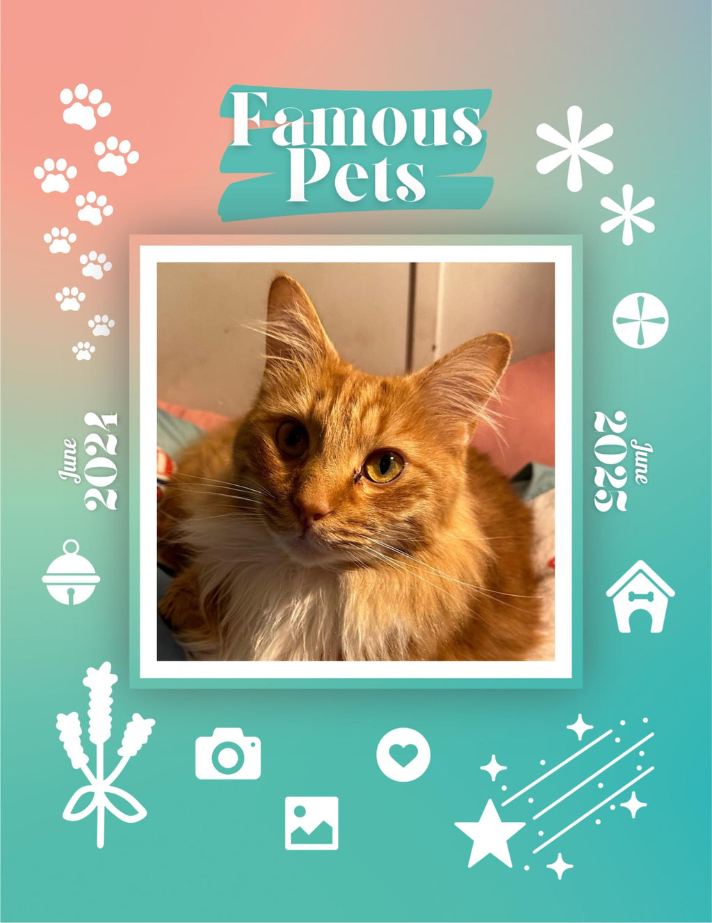 Famous Pets: June 2024-June 2025 Wall Calendar (Pre-Order)