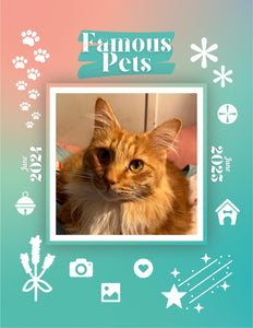 Famous Pets: June 2024-June 2025 Wall Calendar (Pre-Order)